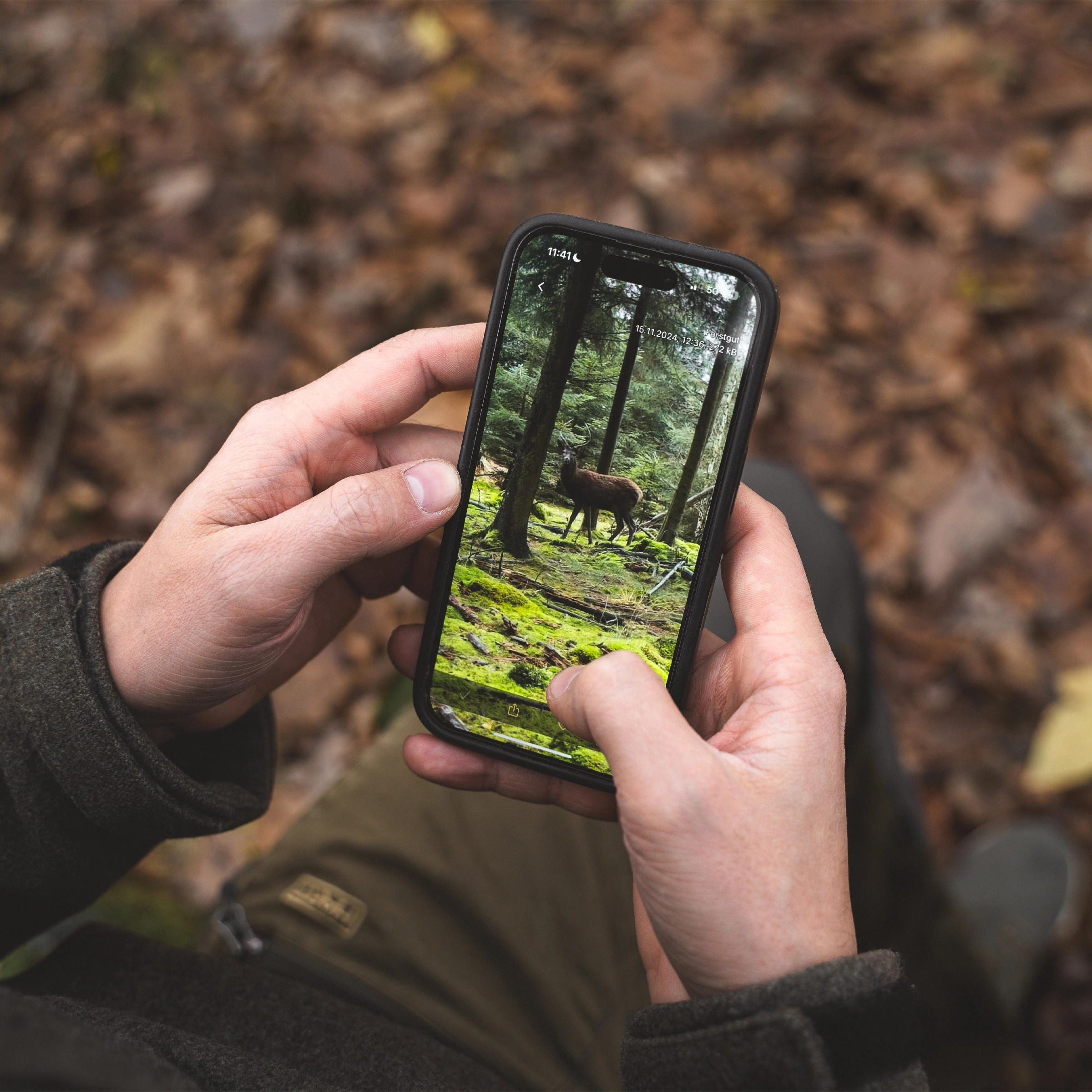Fotografia jeleňa zhotovená smartfónom pomocou aplikácie Supersim od Seissiger Wildlife Camera Smartfón v ruke zobrazuje jelene v lese, obrázok z kamery Seissiger pre divokú zver v aplikácii Supersim.