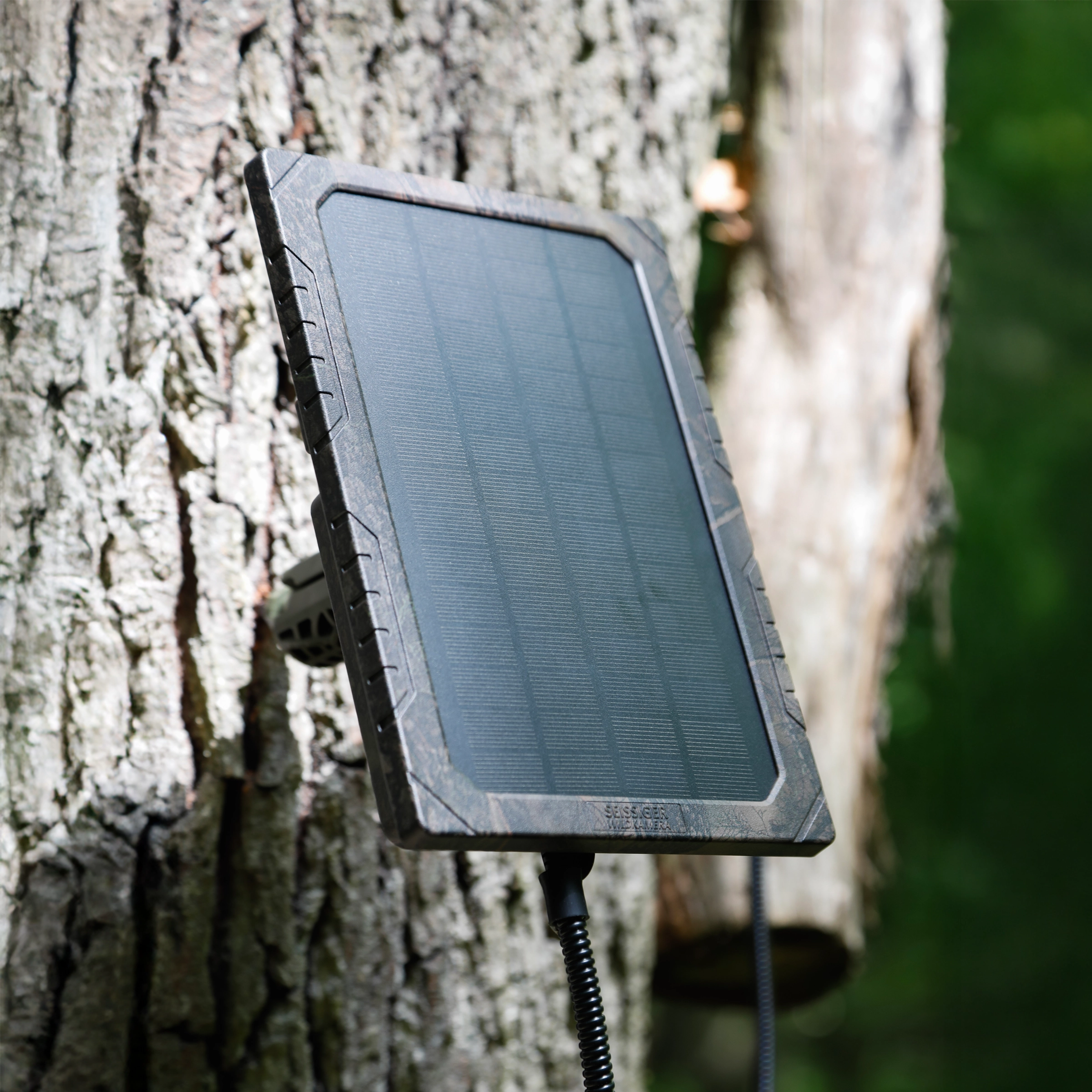 SEISSIGER Solarpanel am Baum befestigt mit Baumstativ