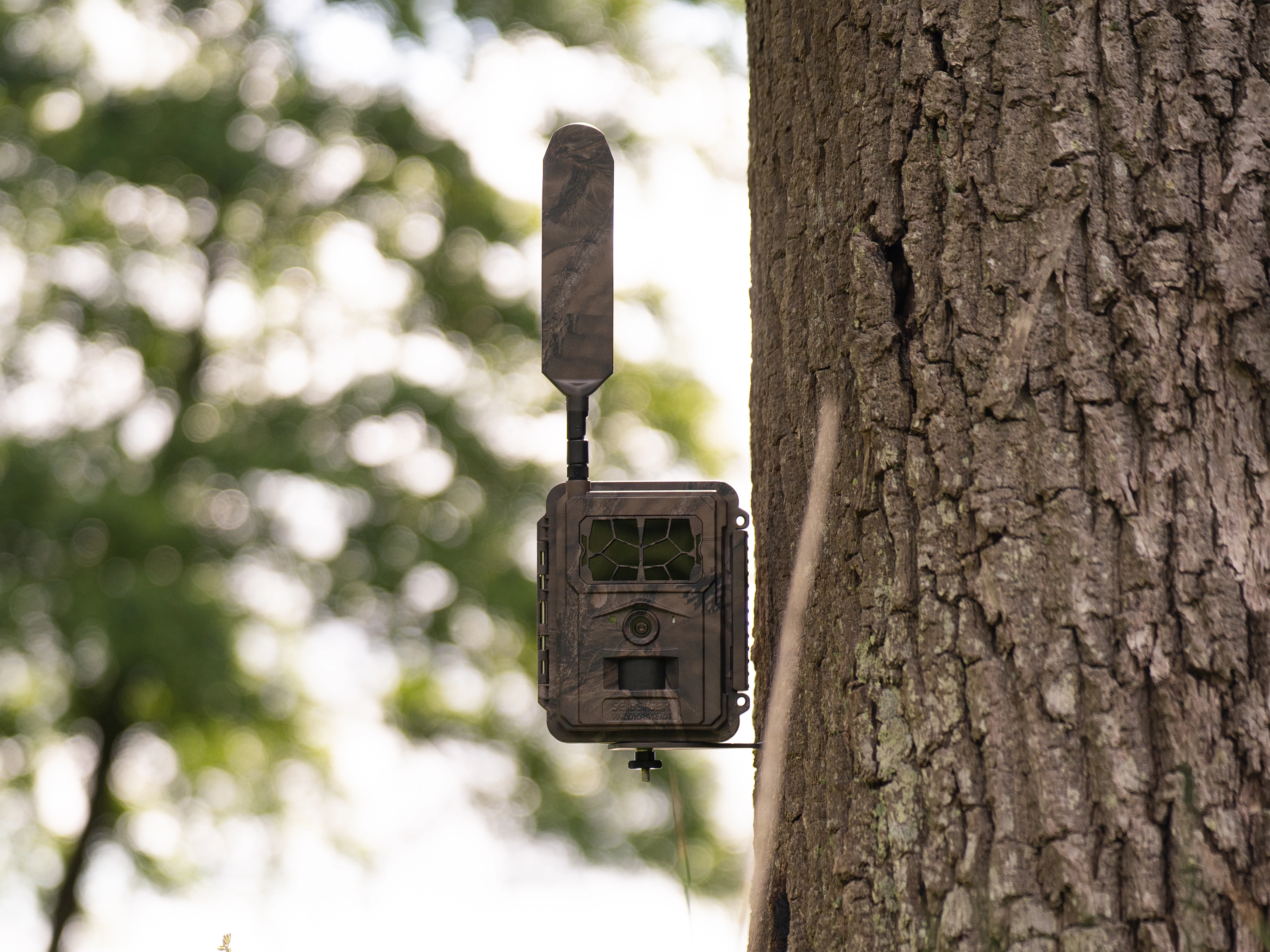 SEISSIGER Pro-Cam LTE SUPERSIM edícia SEISSIGER Pro-Cam LTE SUPERSIM Edition pripevnená k stromu