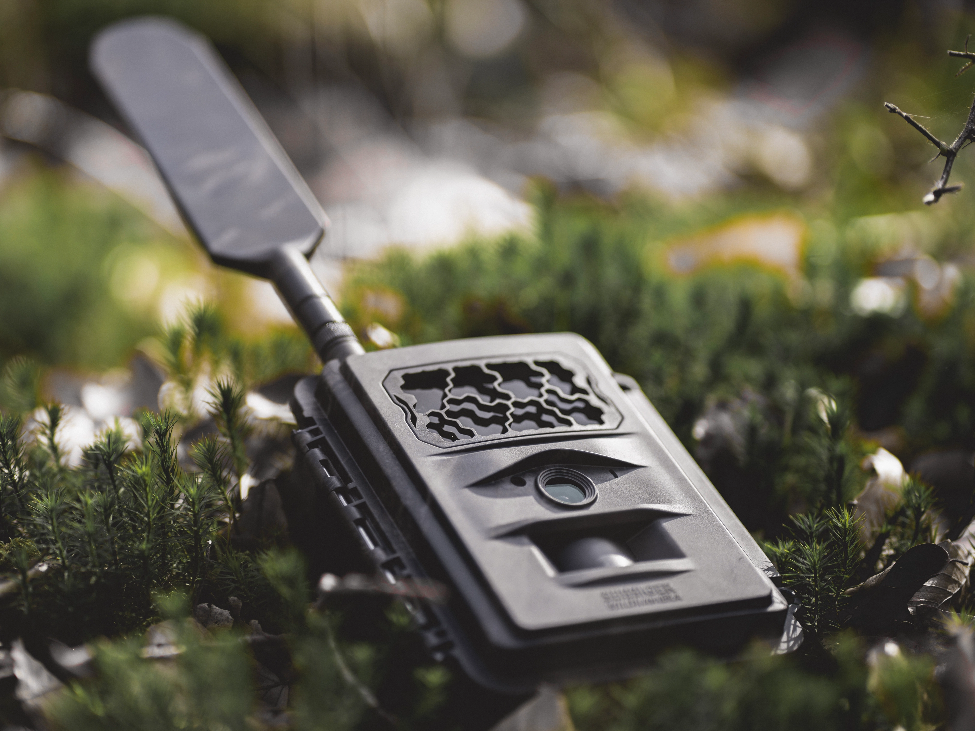 Kamera na divokú zver Seissiger Base-Cam LTE s anténou leží vonku na machu a rastlinách Kamera na sledovanie divokej zveri Seissiger Base-Cam LTE s anténou umiestnenou na machu a rastlinách vonku.