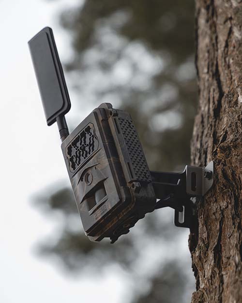 Baumhalterung mit Kugelgelenk