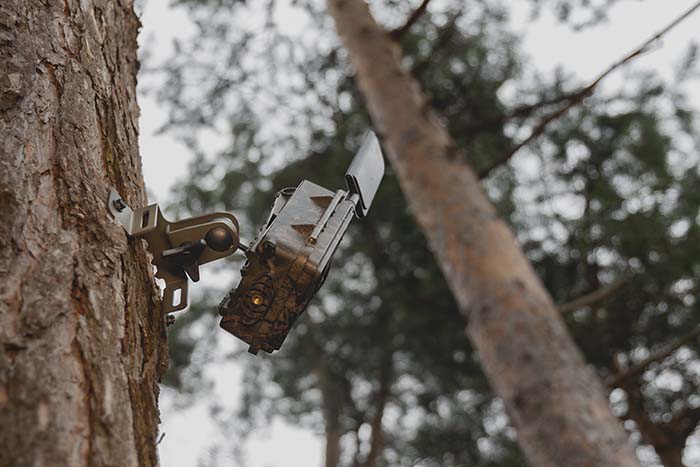 Baumhalterung mit Kugelgelenk