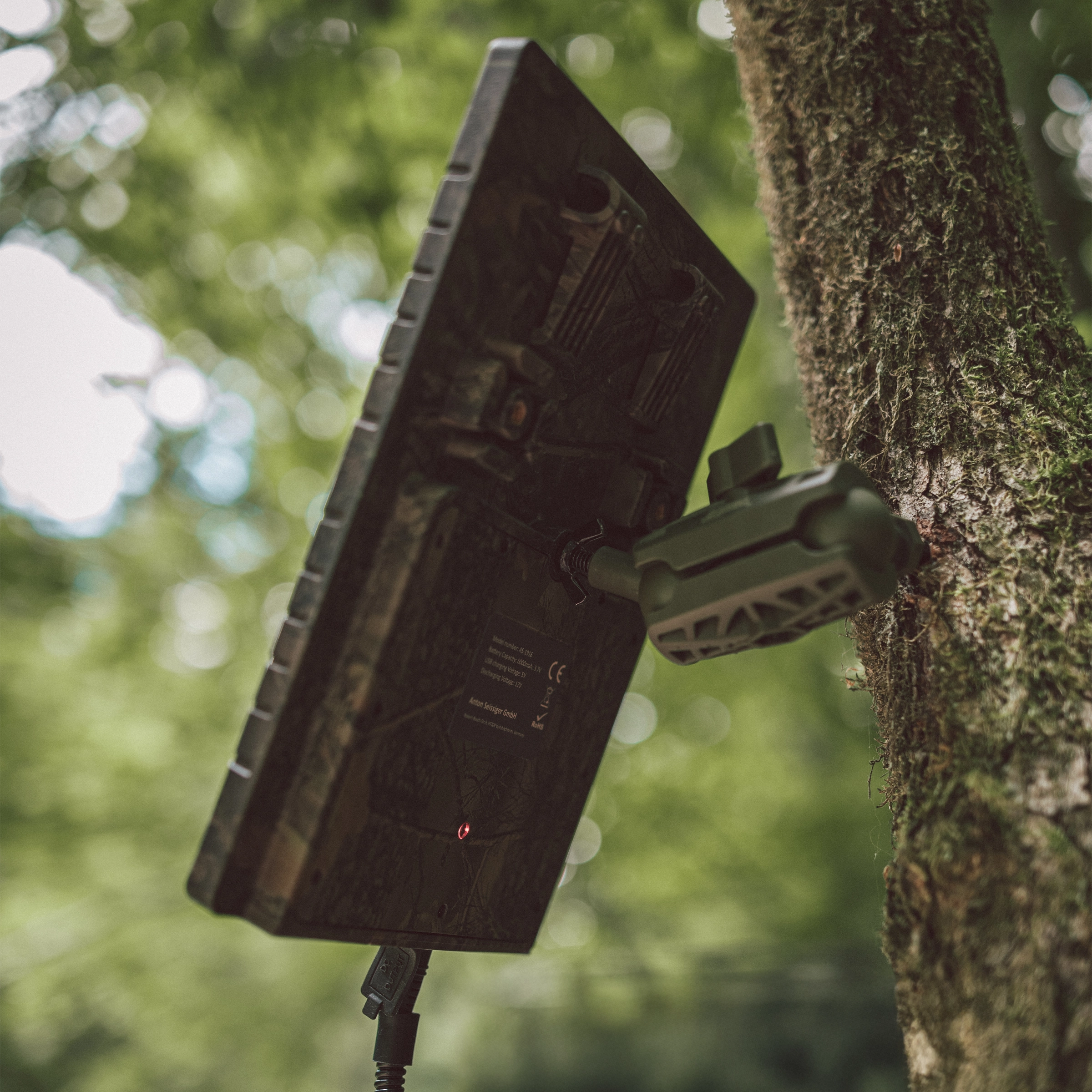 Solarpanel befestigt an einem Baumstativ mit Kugelgelenk vor unscharfem Waldhintergrund