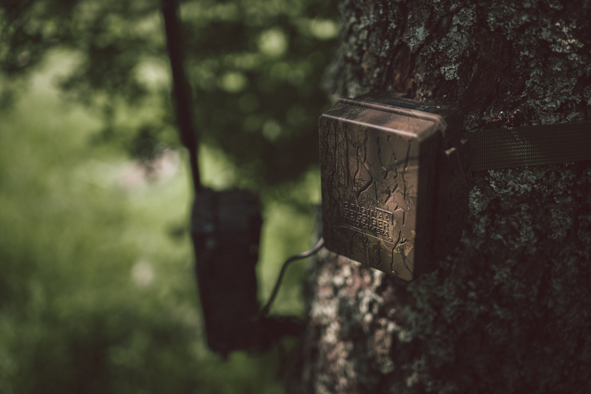 Externer Akkupack für Wildkameras