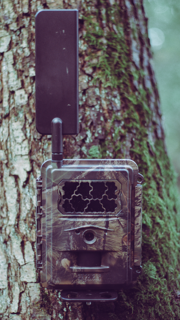 Baumstativ für Wildkameras