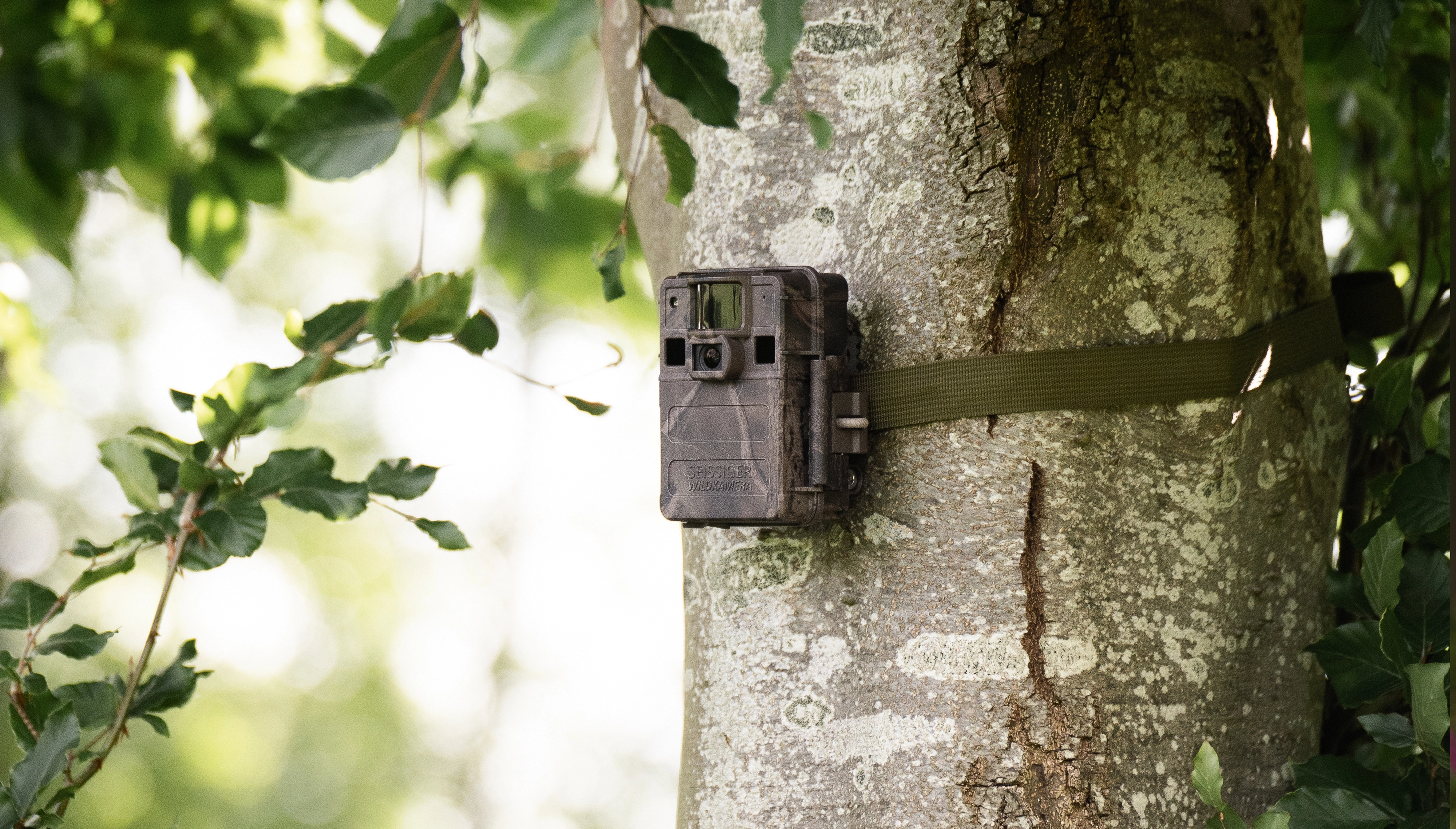 SEISSIGER Mini-Cam im Wald am Baum montiert