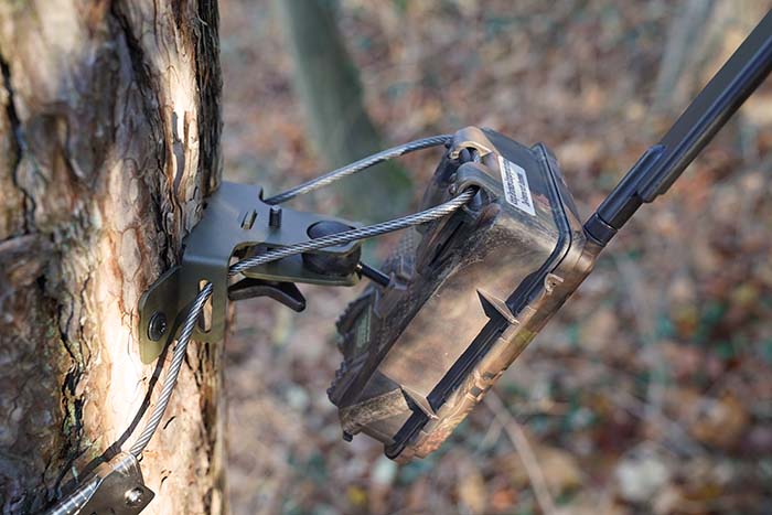 Baumhalterung mit Kugelgelenk