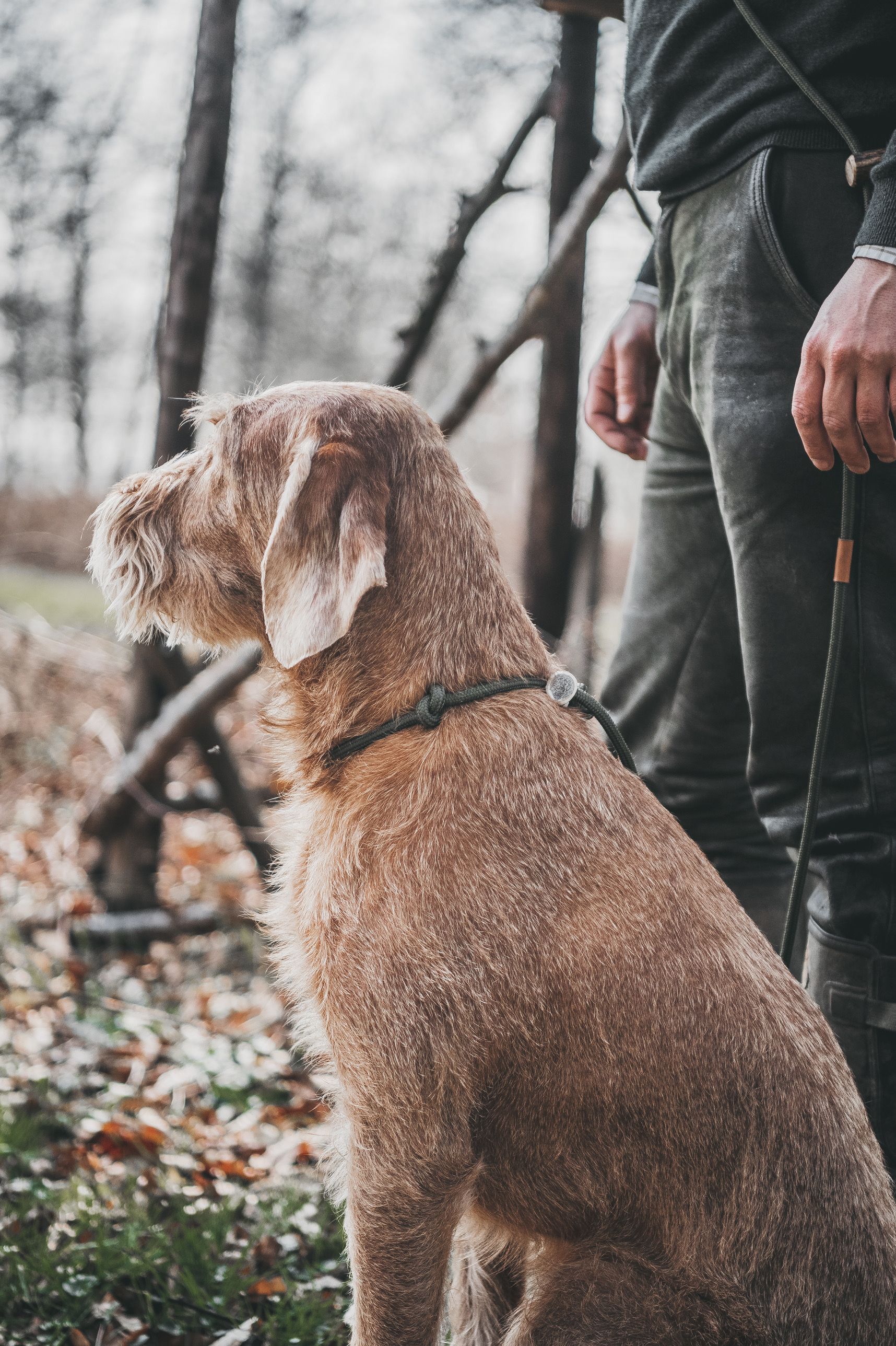 SEISSIGER Hundeleine